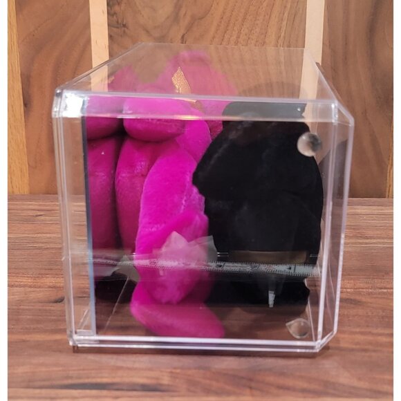 Ty Millennium and The End Bears - Picture 14 of 15